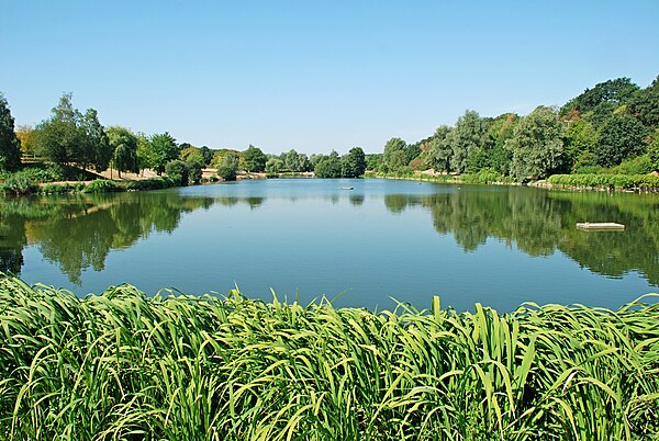 Louvain-la-Neuve's Lake