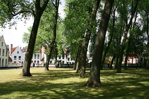 Ten Wijngaerde Beguinage