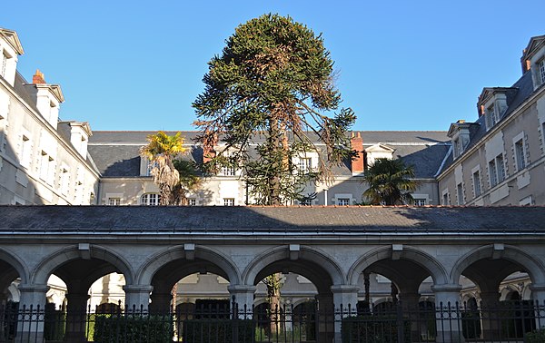 Couvent de la Visitation