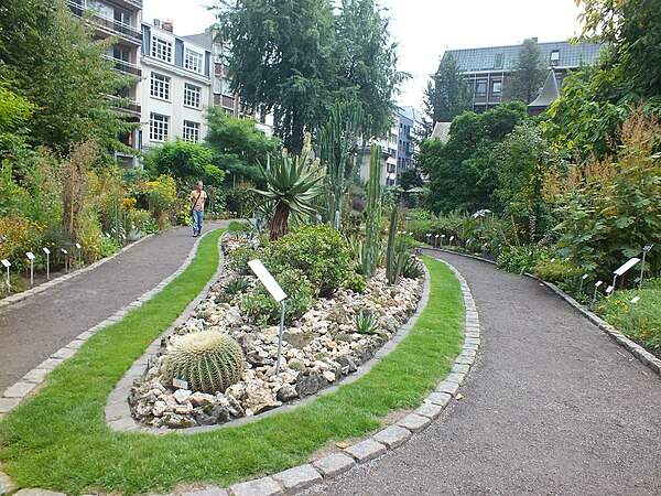 Jardin botanique