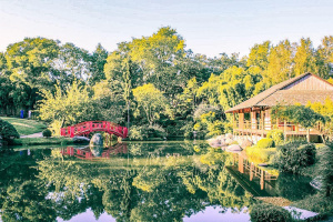 4. Le jardin Japonais
