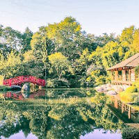 6. Le jardin Japonais