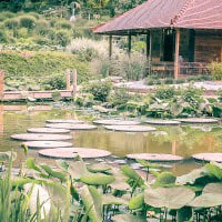 3. Chasse aux oeufs au Jardin des Martels