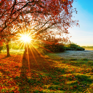 2. Genieten van de zachte buitentemperaturen