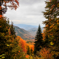 1. Admire the autumn colours