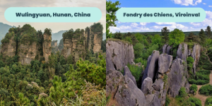 8. Fondry des chiens