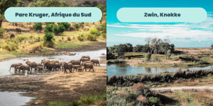 10. Zwin, réserve naturelle