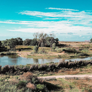 3. Bike ride - electric scooter - walk in a national (natural) park ๐ฒ๐ด