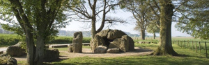 7. Forêts de Wéris