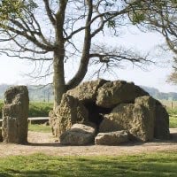 7. Forêts de Wéris