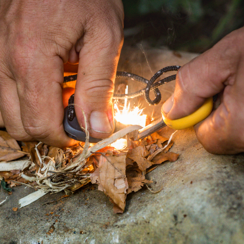 7. Survival cursus