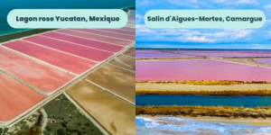 7. Les Salins d'Aigues-Mortes en Camargue