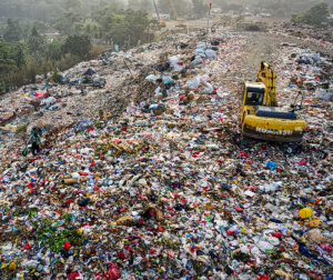 Pollution, overconsumption, environmental impact