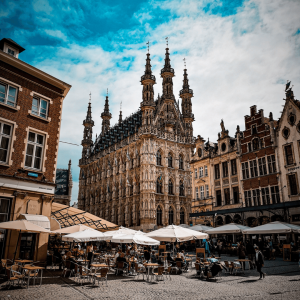 7. Hôtel de ville historique de Louvain