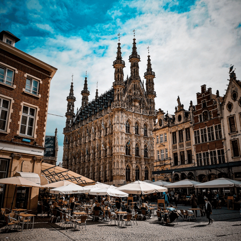 7. Hôtel de ville historique de Louvain