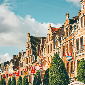Ijzerenleen, Mechelen