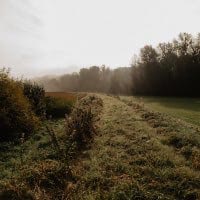 1. Randonnée sur les « Éislek Pad »