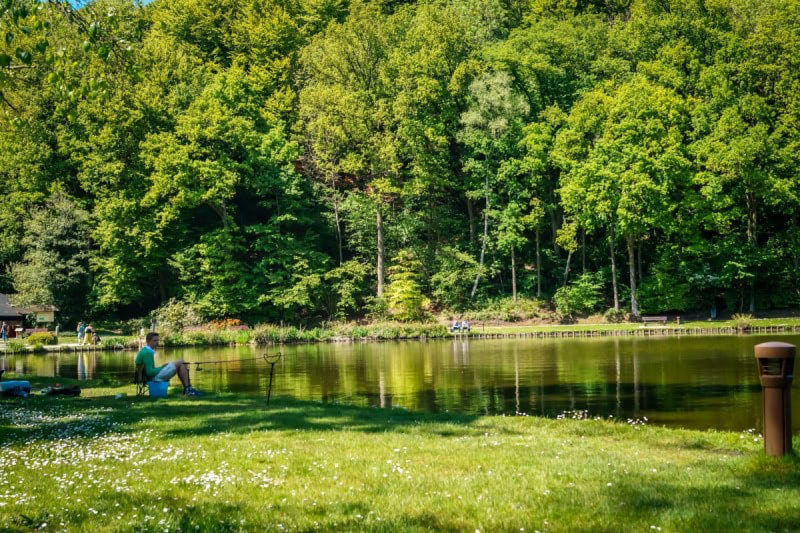 Bois des Rêves