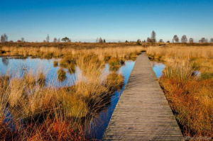 1. Les Hautes Fagnes
