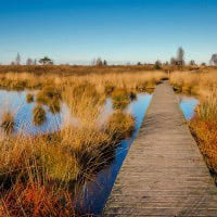 1. Les Hautes Fagnes