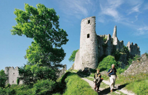 8. Les ruines de Montaigle