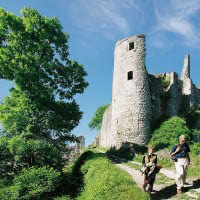8. Les ruines de Montaigle
