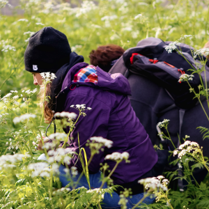 7. Wilde lentewandelingen