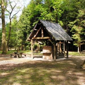 10. Het didactische bos van Courrière