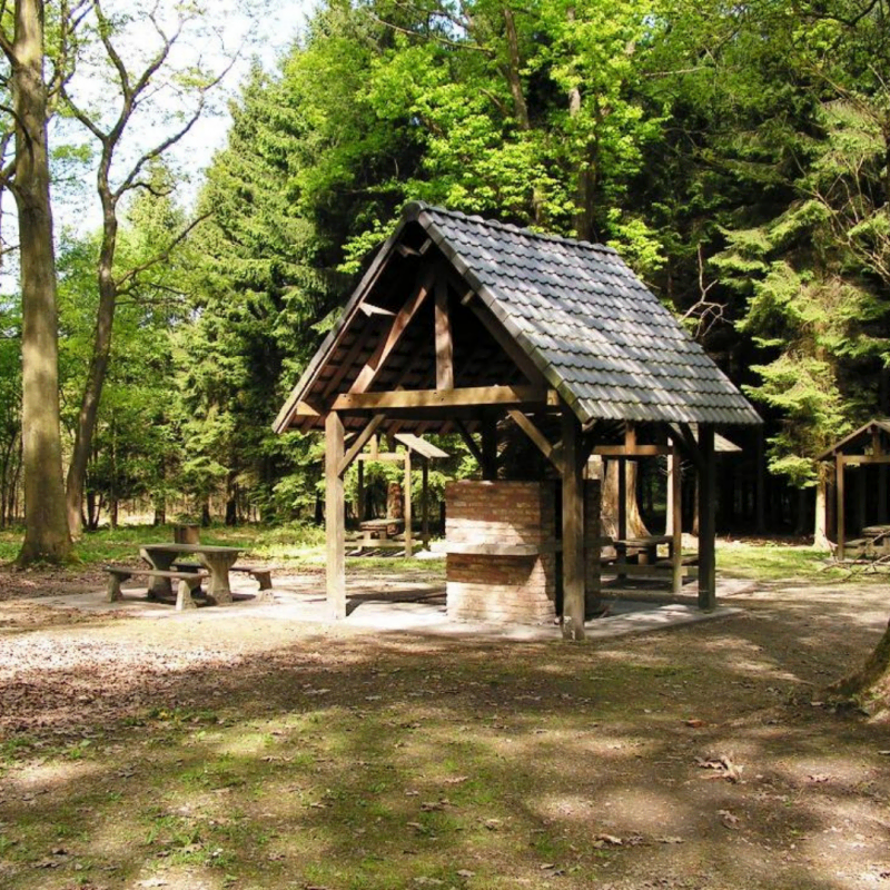 10. The didactic wood of Courrière