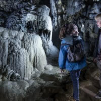 8. S'aventurer dans une grotte avec ton chien 🦇