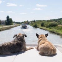 7. Partir en croisière avec ton chien 🛳