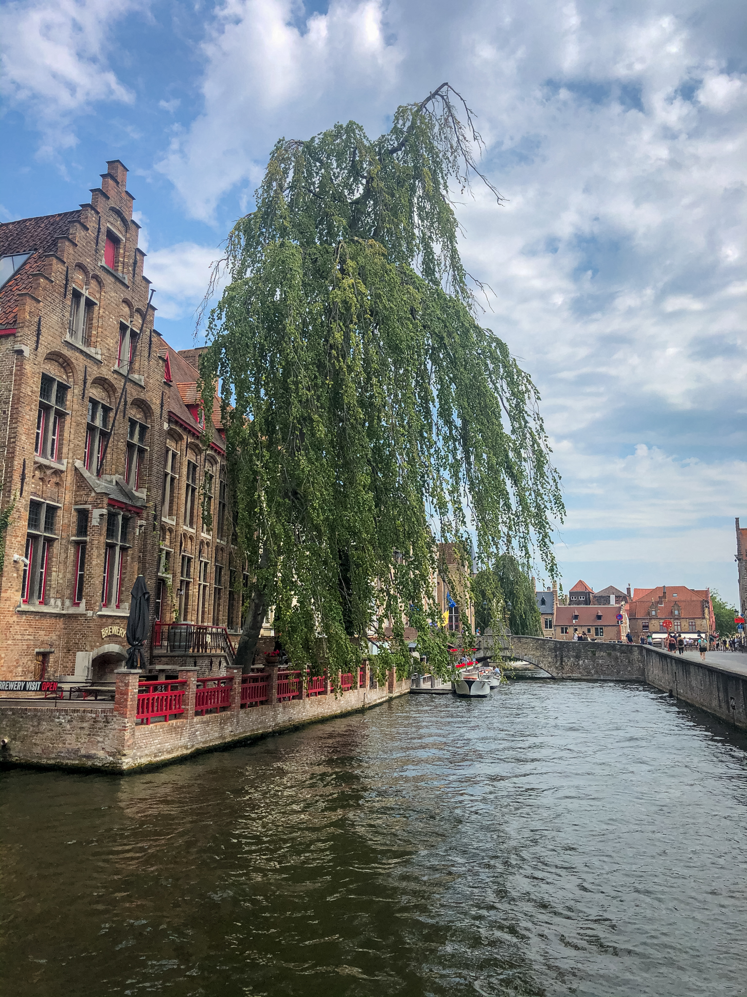 Dijver and Nepomucenusbrug - Brujas