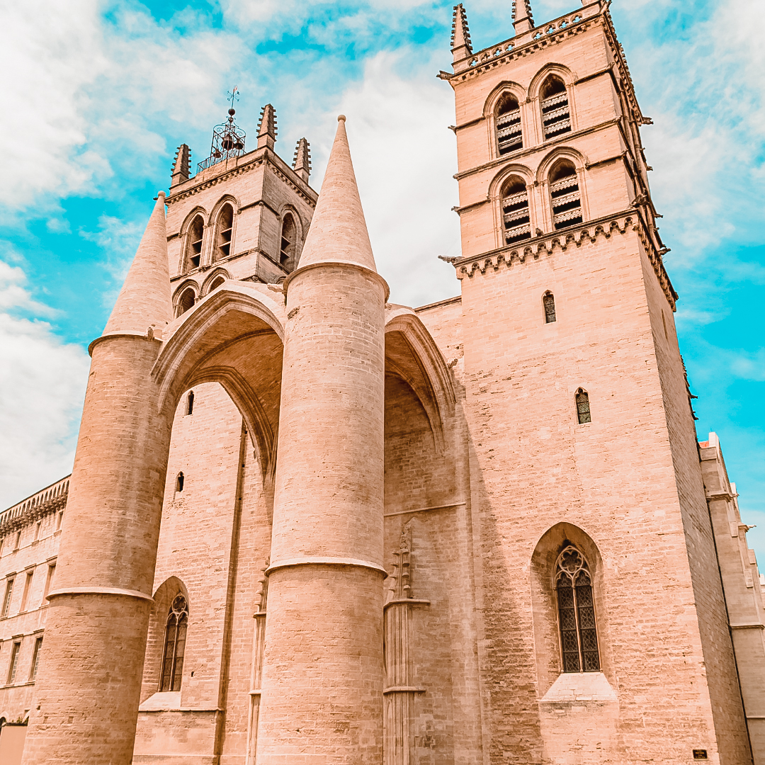 Cathédrale Saint-Pierre - Montpellier