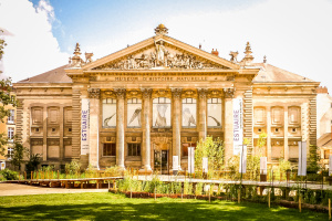 Musée d’histoire naturelle - Nantes