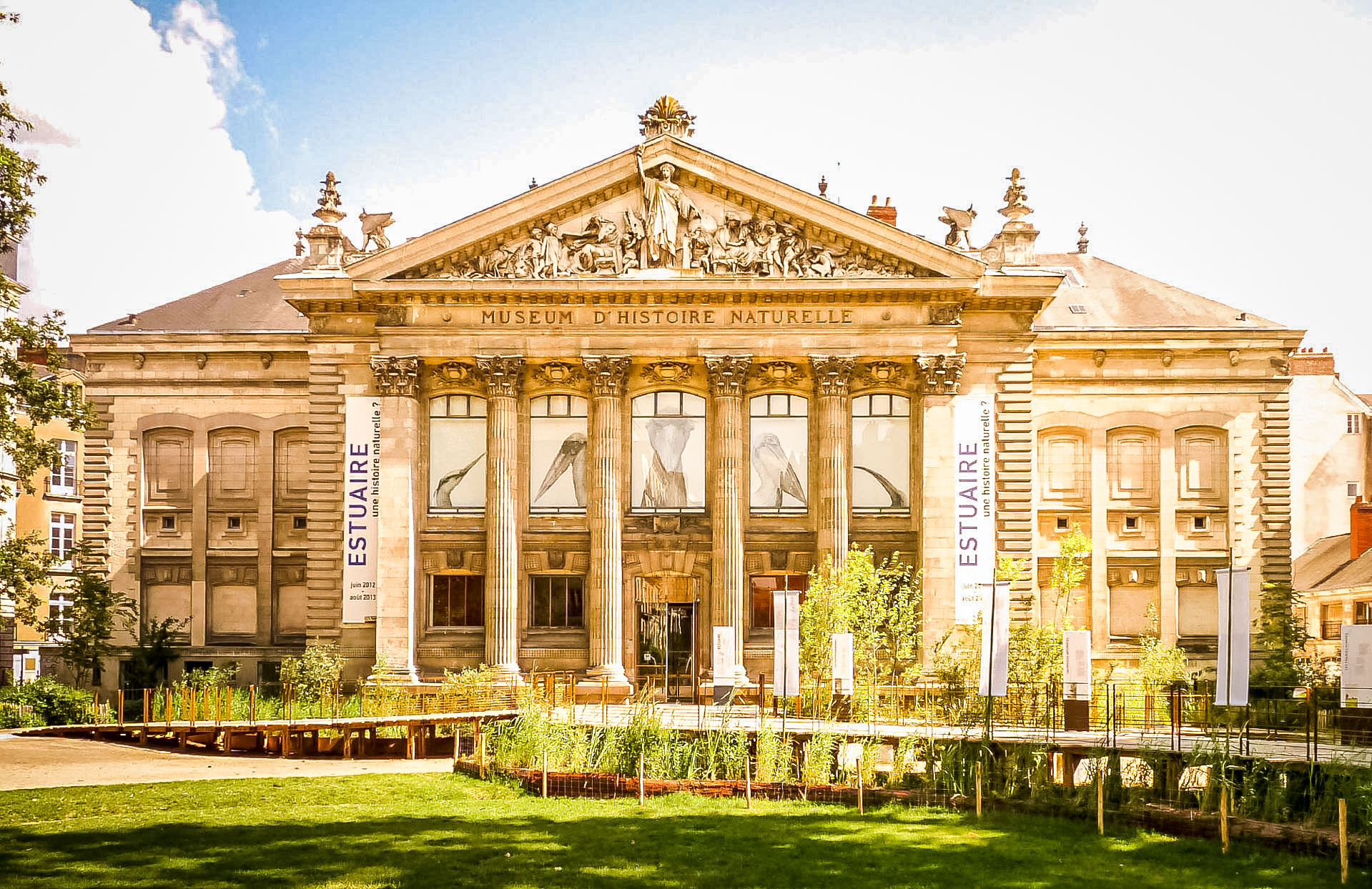 Musée d’histoire naturelle - Nantes