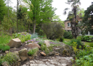 2) Un tour par le jardin botanique
