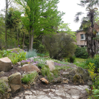 2) Un tour par le jardin botanique