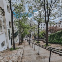 5. Profite de ses activités incontournables et sa vie trépidante