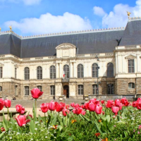 4) Visite le parlement de Bretagne