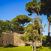 8) Garden of orange trees