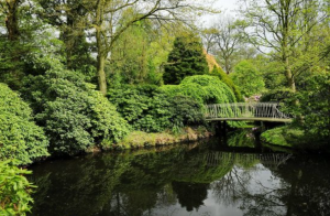 8. L’arboretum de Trompenburg