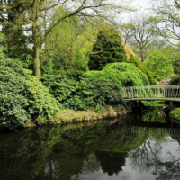 8. L’arboretum de Trompenburg