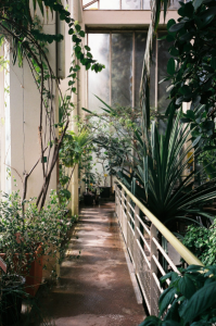 Visite le Jardin botanique