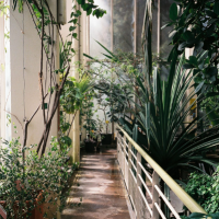 Visite le Jardin botanique