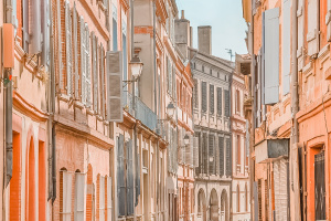 Centre Historique Toulouse - Toulouse