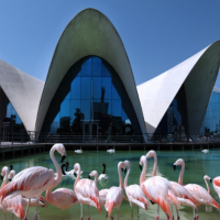 1. L’Oceanogràfic