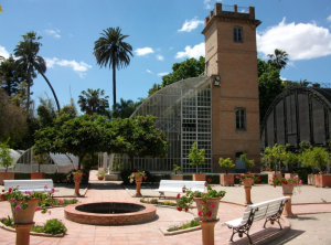 8. Le jardin botanique