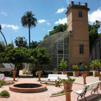 8. Le jardin botanique