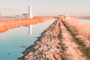 Parque natural de la Albufera - Valencia