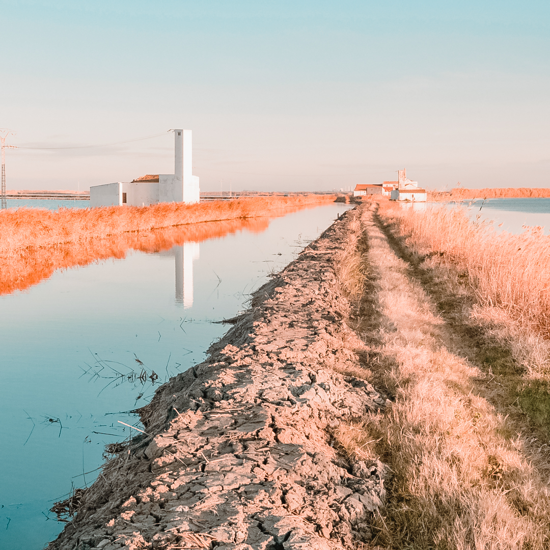 Parque natural de la Albufera - Valencia